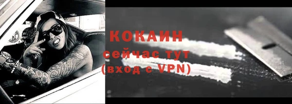 ГАЛЛЮЦИНОГЕННЫЕ ГРИБЫ Балабаново